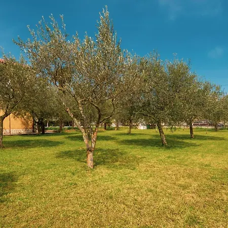 Apartmán Olga *
