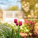 Διαμέρισμα Olga Πόρετς