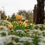 Διαμέρισμα Olga Πόρετς