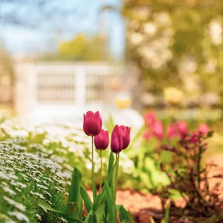 Διαμέρισμα Olga Πόρετς