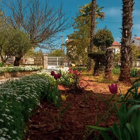 Olga Διαμέρισμα