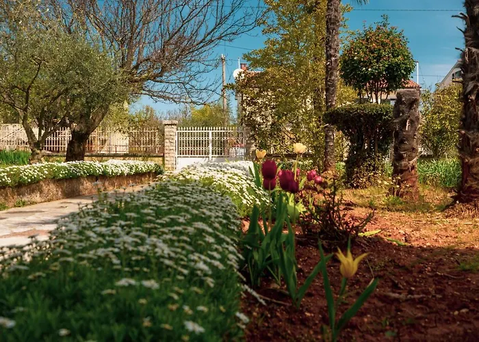 Olga Apartman Poreč