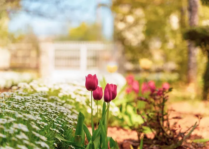 Apartmán Olga Poreč