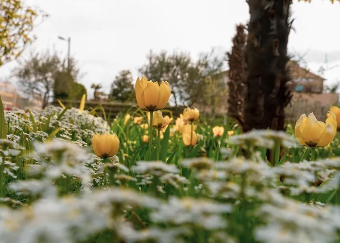 Apartmán Olga Poreč