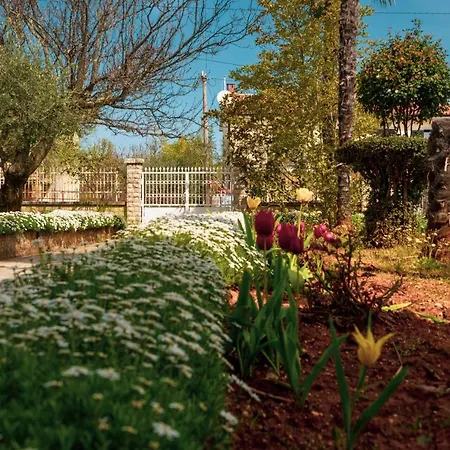 Olga Apartamento Poreč